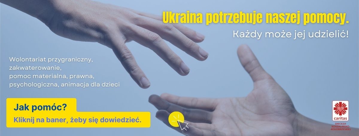 Strona WWW dla wolontariuszy.jpg