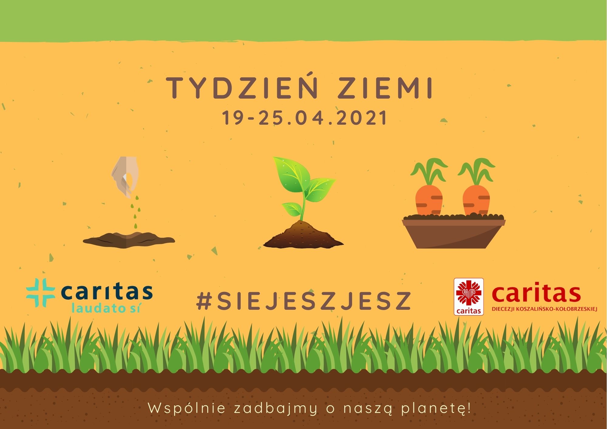 Siejesz - Jesz-5.jpg